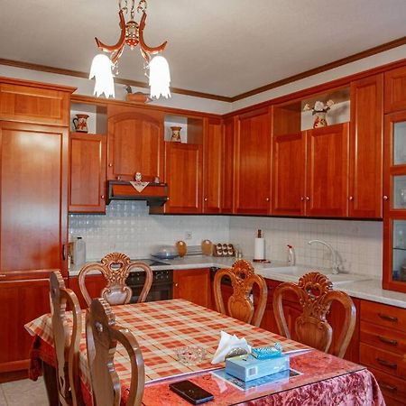 Βίλα Για Όλες Τις Εποχές Του Χρόνου Cozani Exterior foto