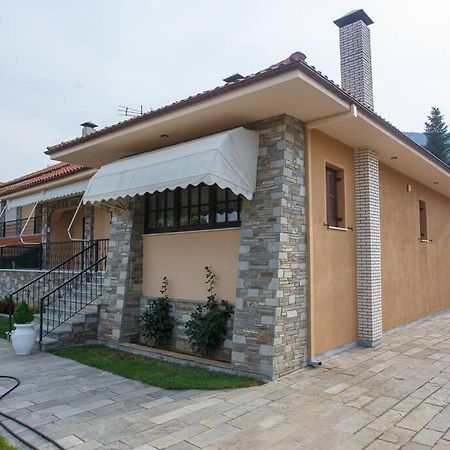 Βίλα Για Όλες Τις Εποχές Του Χρόνου Cozani Exterior foto
