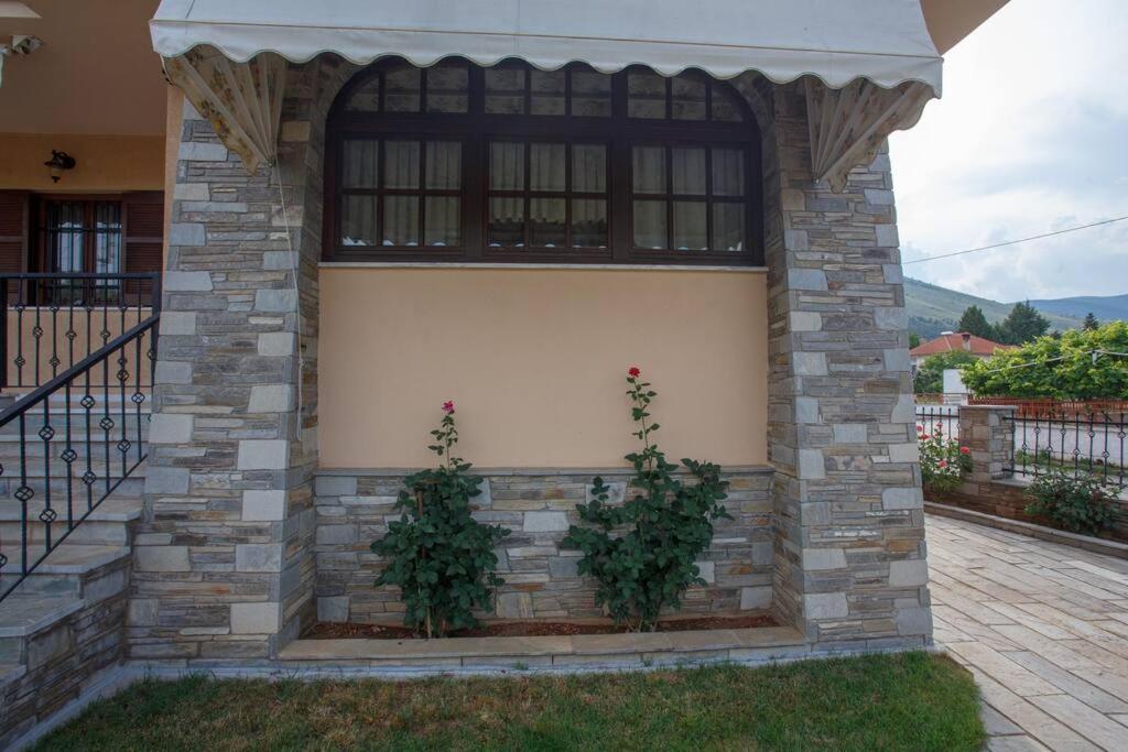 Βίλα Για Όλες Τις Εποχές Του Χρόνου Cozani Exterior foto