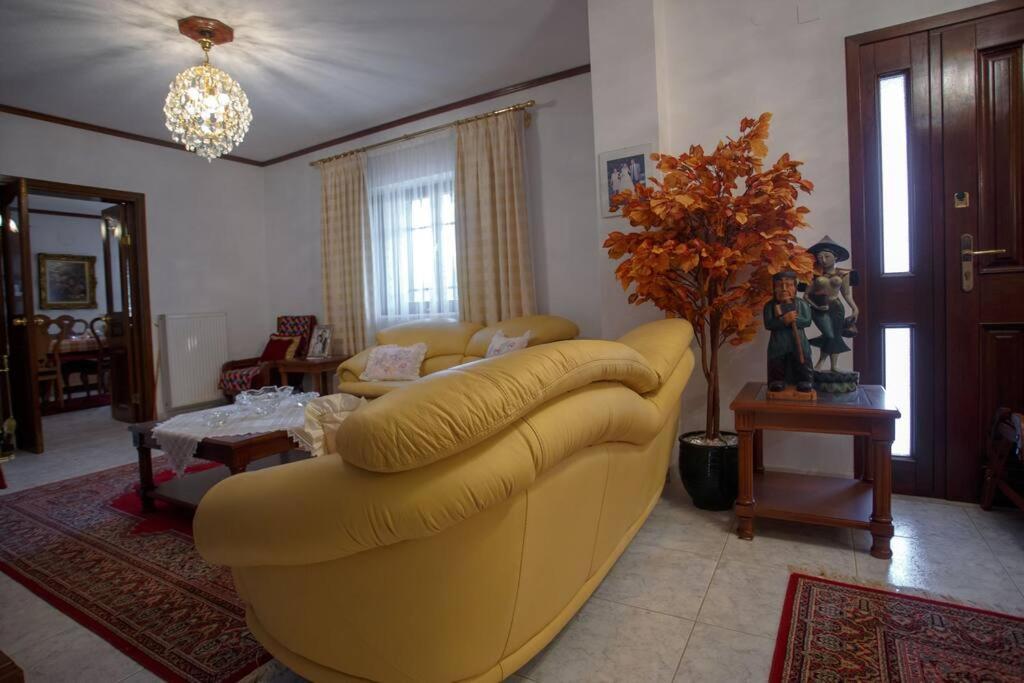 Βίλα Για Όλες Τις Εποχές Του Χρόνου Cozani Exterior foto