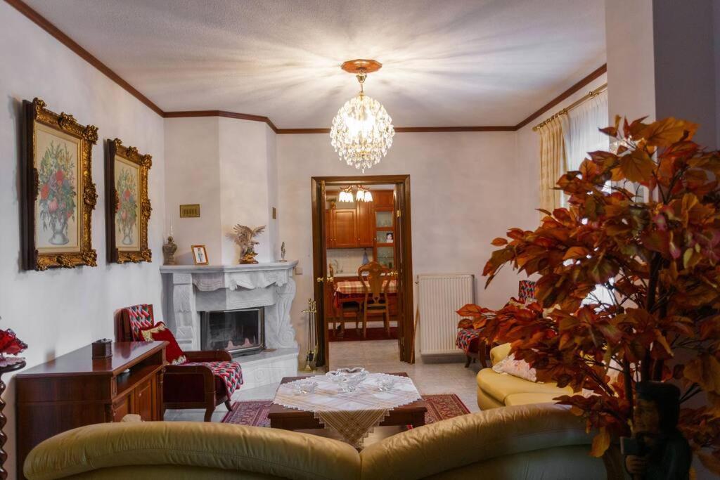 Βίλα Για Όλες Τις Εποχές Του Χρόνου Cozani Exterior foto